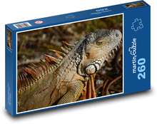 Iguana - lizard, reptile Puzzle 260 pieces - 41 x 28.7 cm 