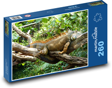 Iguana - reptile, lizard Puzzle 260 pieces - 41 x 28.7 cm