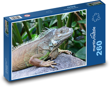 Leguán - plaz, zviera, zoo Puzzle 260 dielikov - 41 x 28,7 cm 