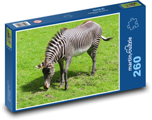 Zebra - Afrika, safari Puzzle 260 dílků - 41 x 28,7 cm