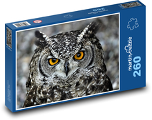Sova - vták, zviera Puzzle 260 dielikov - 41 x 28,7 cm 