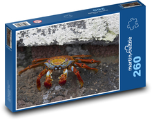 Krab - kôrovec, zviera Puzzle 260 dielikov - 41 x 28,7 cm 