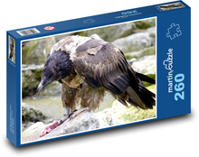 Sup - dravý pták, zvíře Puzzle 260 dílků - 41 x 28,7 cm