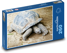 Riesenschildkröte - Schale, Reptil Puzzle 260 Teile - 41 x28,7 cm