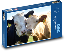 Cows - cattle, animals Puzzle 260 pieces - 41 x 28.7 cm 