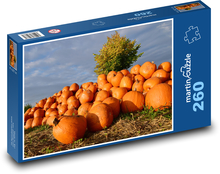 Obří dýně - podzim, sklizeň Puzzle 260 dílků - 41 x 28,7 cm