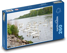 Swans - birds, animals Puzzle 260 pieces - 41 x 28.7 cm 