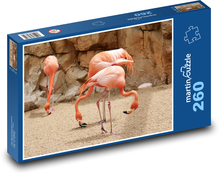 Plameňáci - ptáci, zoo Puzzle 260 dílků - 41 x 28,7 cm