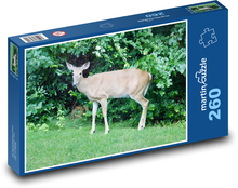 Tier - Reh Puzzle 260 Teile - 41 x28,7 cm