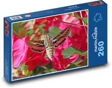 Hummingbird - moth, flower Puzzle 260 pieces - 41 x 28.7 cm 