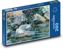 Ente - jung, Strom Puzzle 260 Teile - 41 x28,7 cm