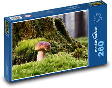 Mushroom - moss, forest Puzzle 260 pieces - 41 x 28.7 cm 
