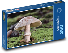 Pilz - Wald, Natur Puzzle 260 Teile - 41 x28,7 cm