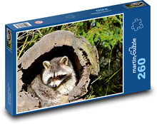 Szop pracz - zwierzę, drzewo Puzzle 260 elementów - 41x28,7 cm