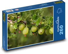 Angrešt - ovoce, rostlina Puzzle 260 dílků - 41 x 28,7 cm