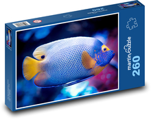 Ryby - voda, oceán Puzzle 260 dielikov - 41 x 28,7 cm 