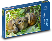 Snail - snail, animal Puzzle 260 pieces - 41 x 28.7 cm 