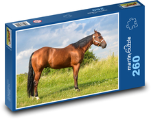 Kůň - zvíře, louka Puzzle 260 dílků - 41 x 28,7 cm