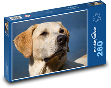 Hund - Kopf, Labrador Puzzle 260 Teile - 41 x28,7 cm