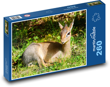 Łania - młody, zwierzę Puzzle 260 elementów - 41x28,7 cm