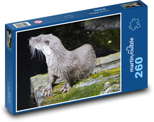 Vydra - vodní zvíře, voda  Puzzle 260 dílků - 41 x 28,7 cm