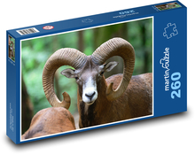 Muflon - beran, zvíře  Puzzle 260 dílků - 41 x 28,7 cm