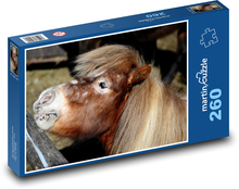 Kuc szetlandzki - źrebię, koń Puzzle 260 elementów - 41x28,7 cm