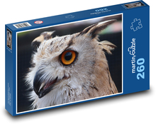 Výr - dravý pták, sova Puzzle 260 dílků - 41 x 28,7 cm