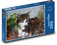 Kočka - domácí zvíře, mazlíček Puzzle 260 dílků - 41 x 28,7 cm