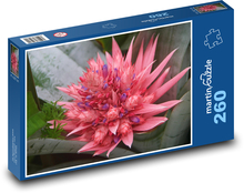 Bromeliad - ozdobny kwiat, roślina Puzzle 260 elementów - 41x28,7 cm
