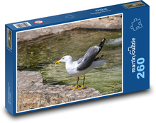 Seagull - seabird, water Puzzle 260 pieces - 41 x 28.7 cm 