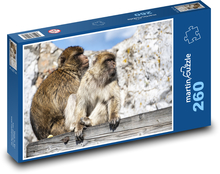 Opice - primáti, zvířata Puzzle 260 dílků - 41 x 28,7 cm
