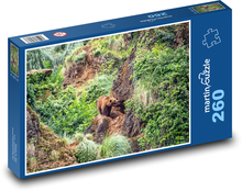 Medveď v lese - divočina, príroda Puzzle 260 dielikov - 41 x 28,7 cm 