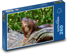 Hlodavec - hnedá veverička Puzzle 260 dielikov - 41 x 28,7 cm