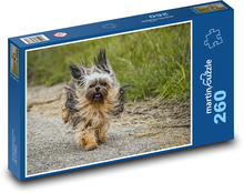 Animal - dog - Chihuahua Puzzle 260 pieces - 41 x 28.7 cm 