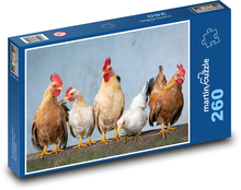 Kur domácí - slepice Puzzle 260 dílků - 41 x 28,7 cm