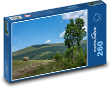 Polski krajobraz - łąki, lasy Puzzle 260 elementów - 41x28,7 cm