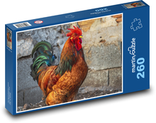 Rooster - colorful feathers, bird Puzzle 260 pieces - 41 x 28.7 cm 