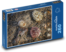 Slimák - pláž, kameň Puzzle 260 dielikov - 41 x 28,7 cm 
