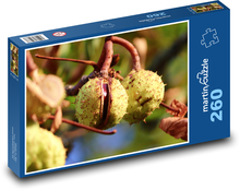 Chestnut - tree, branch Puzzle 260 pieces - 41 x 28.7 cm 