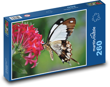 Butterfly - flower, dazzle Puzzle 260 pieces - 41 x 28.7 cm 
