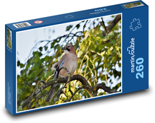Jay - ptak, zwierzę Puzzle 260 elementów - 41x28,7 cm