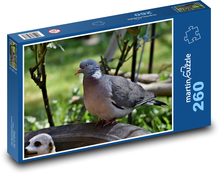 Taube - Vogel, Federn Puzzle 260 Teile - 41 x28,7 cm