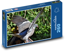 Pigeon - wings, bird Puzzle 260 pieces - 41 x 28.7 cm