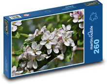 Jabloňové květy - okvětní lístky, strom  Puzzle 260 dílků - 41 x 28,7 cm