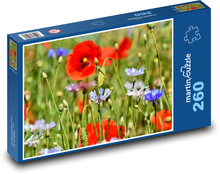 Chrpy - vlčí mák, louka s květinami Puzzle 260 dílků - 41 x 28,7 cm