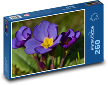 Maxana - fialová kvetina, rastlina Puzzle 260 dielikov - 41 x 28,7 cm