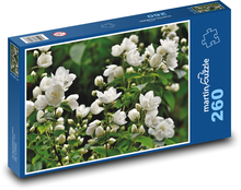 Jaśmin biały - krzew ozdobny, roślina Puzzle 260 elementów - 41x28,7 cm
