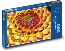 Oranžová jiřina - květina, zahrada Puzzle 260 dílků - 41 x 28,7 cm