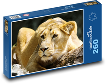 Lev - divoká zver Puzzle 260 dielikov - 41 x 28,7 cm 